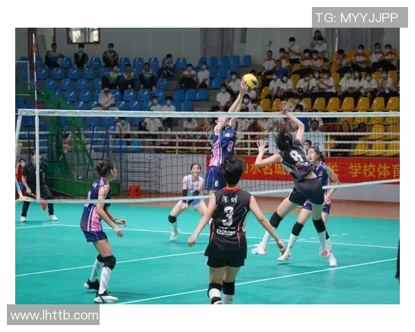 深圳排球队在全国排球灵活性排行榜中荣登第五名展现出色竞技实力